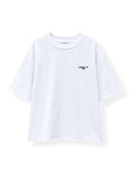 World Up White